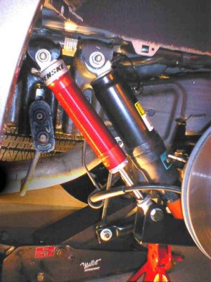 tahoe-rear-double-shocks.jpg