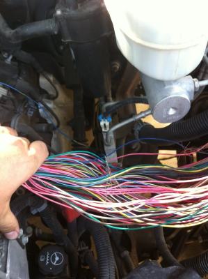 wireharness3.jpg