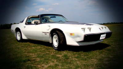 1980transam016-2.jpg