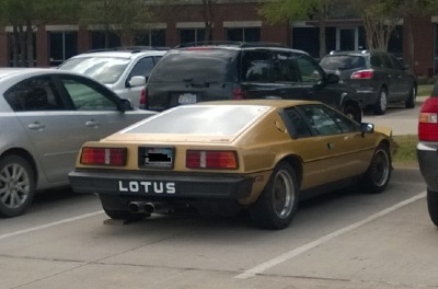 Lotus_zps545ac859.jpg