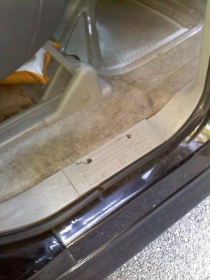 rear door sill.jpg