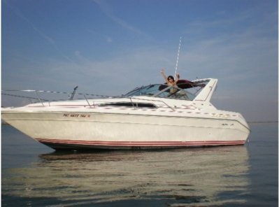 1990-sea-ray-sundancer-280-iplpjxs.jpg