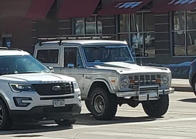 Bronco_resized.jpg