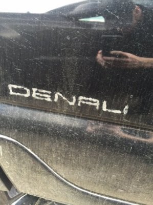 Denali Badge.jpg