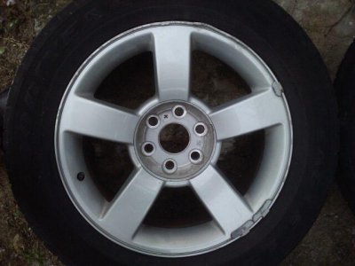 ss rim scarred.jpg