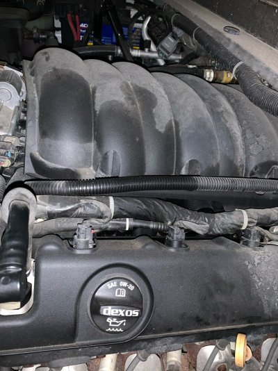 Oil on spark plugs :( | Chevy Tahoe Forum | GMC Yukon Forum | Tahoe Z71 ...