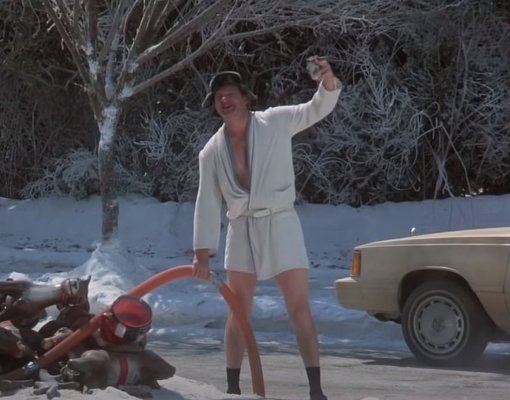 Cousin-Eddie.jpg