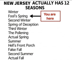 nj weather.png