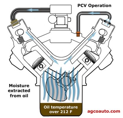 Pvc moisture extracted.jpg