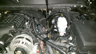 engine bay (post harness clean up).jpg