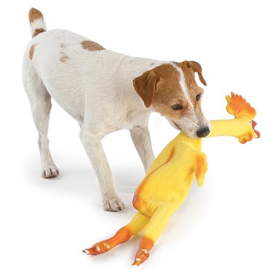 dog-with-chicken.jpg