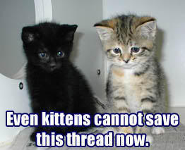 KittensCantSaveThread.jpg