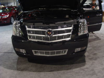 2010AutoShow001.jpg