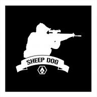 American_Sheepdog